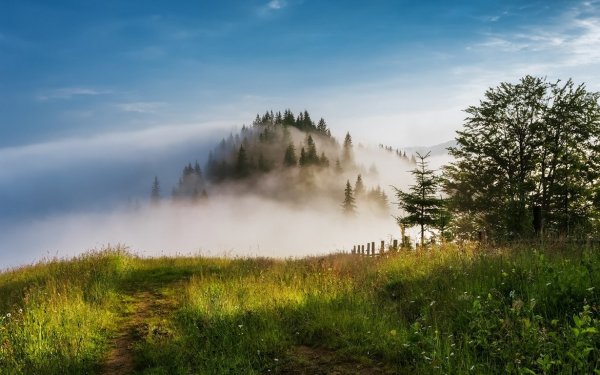 Природа рассвет