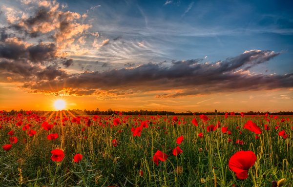 Природа Украины картинки