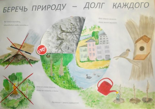 Бережем природу вместе плакат