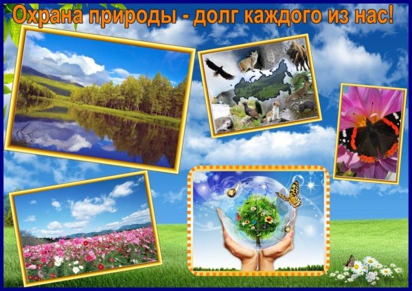 Плакаты о защите природы и животных