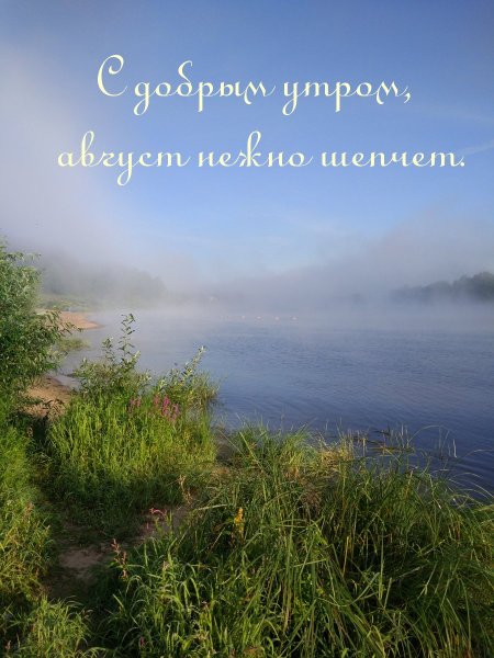 Конец августа природа