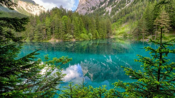 Лесное озеро (Forest Lake)