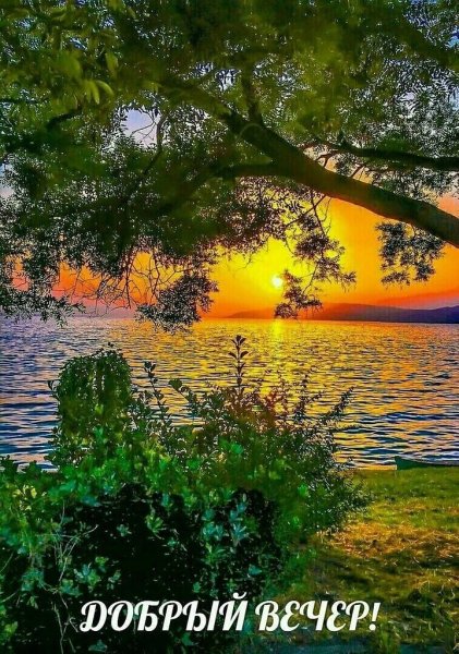 Природа вечер