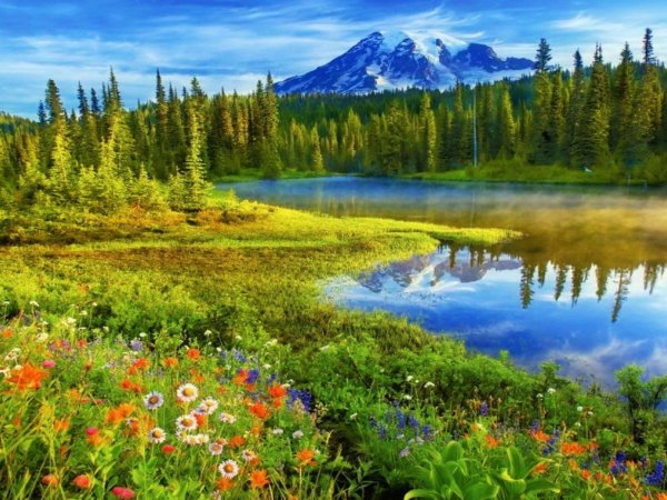 Швеция Альпийские Луга