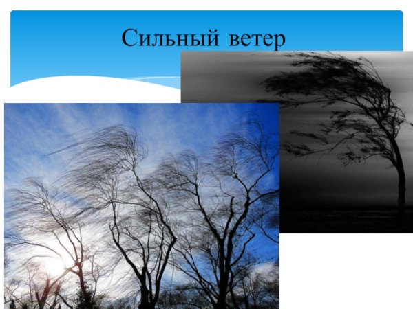 Природные явления ветер для детей