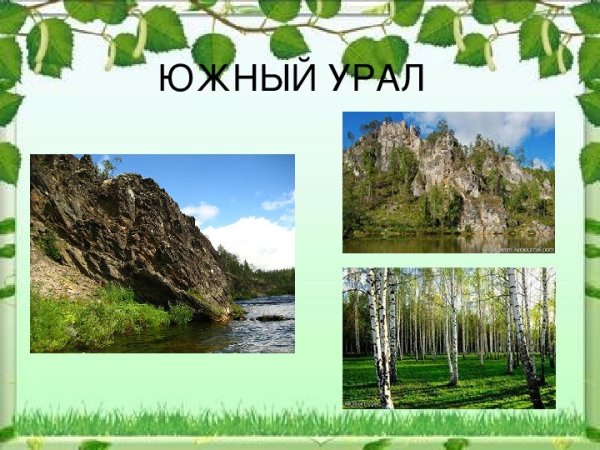 Разнообразие природы Южного Урала