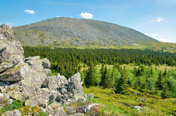 Хребет крака Башкирия