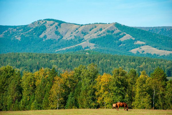 Иремель Уральские горы