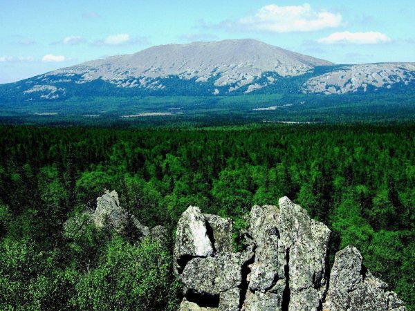Южно-Уральский государственный природный заповедник