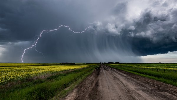 Гроза в дерево
