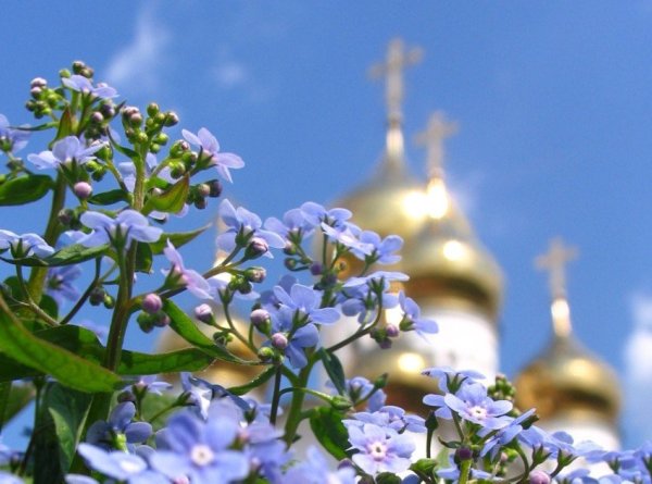 Православные цветы