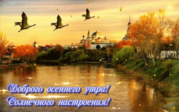 Осенние птицы с пожеланиями доброго утра