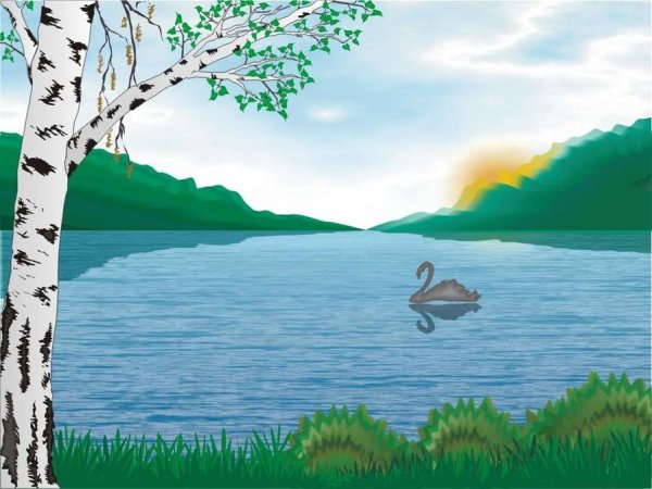 Рисунки природы