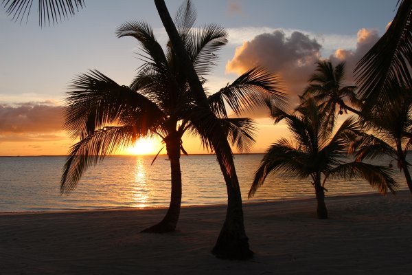 Багамы пальмы море Нассау