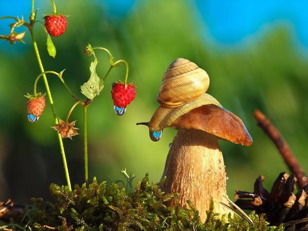 Весна природа оживает