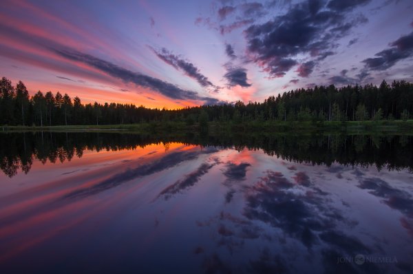 Птицы весной