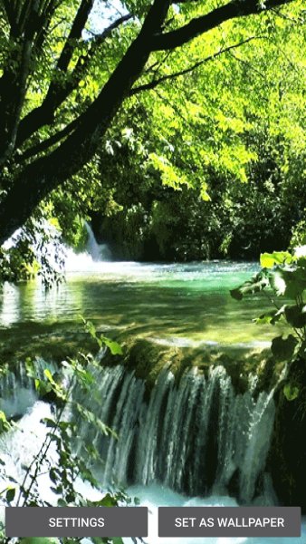 Национальный парк Глейшер растительность