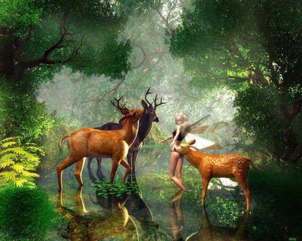 Живая природа