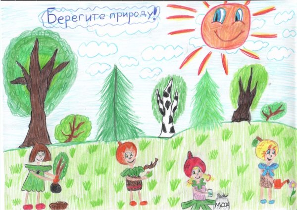 Эколята про мусор в лесу