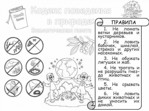 Сохранение природы раскраска