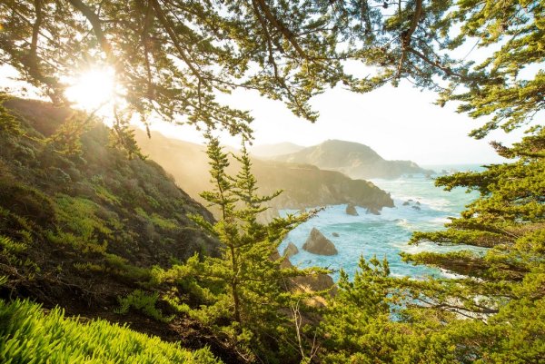 Название фото с природой