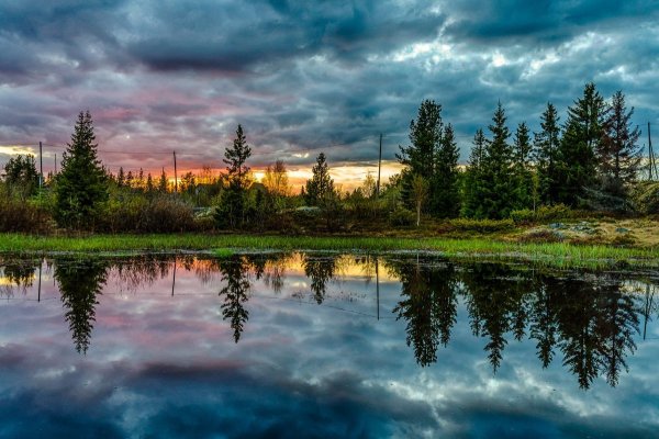 Февраль природа