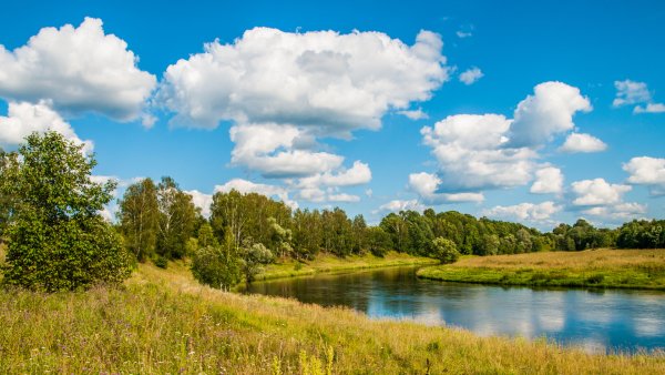 Осень река лес озеро