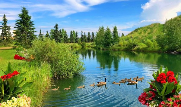 Природа весенней Бугульмы