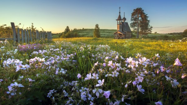 Красивая природа лес