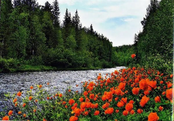 Лучшая фотография природы России