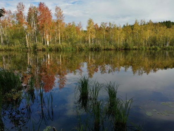 Русская природа