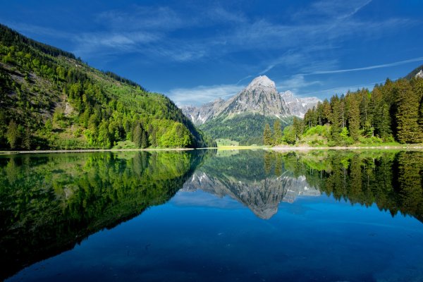 Природа горы лес река