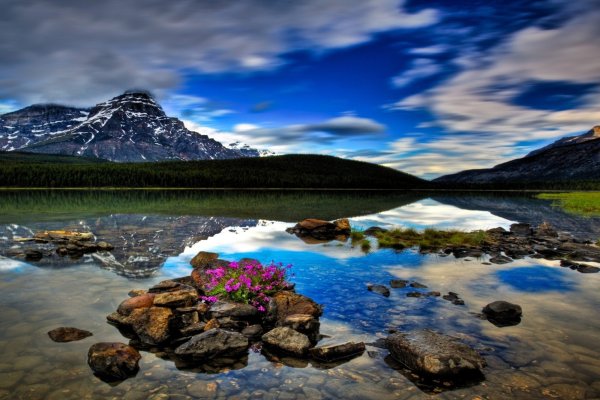 Удивительная красота воды