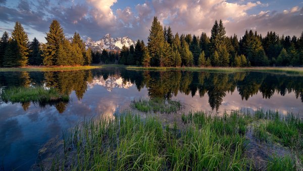 Лесное (озеро, Северная Америка)