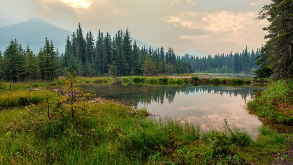 Времена года зима Весна лето осень