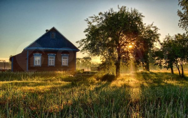 Солнечное утро в деревне