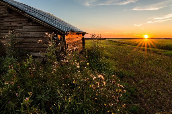 Солнечный день в парке