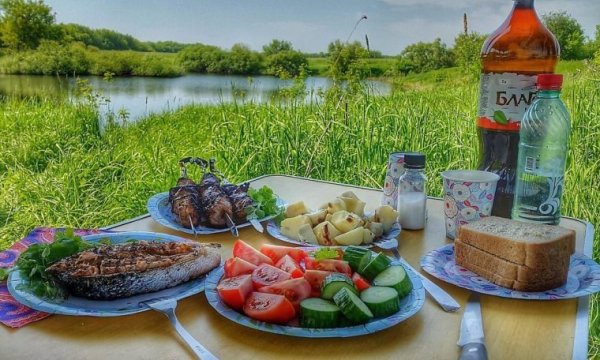 Пикник шашлык на природе