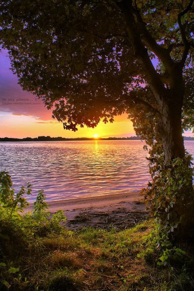 Красивая природа рассвет