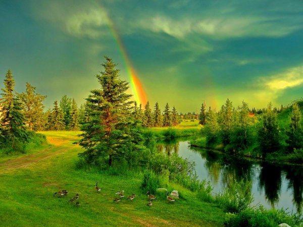 Красота природы