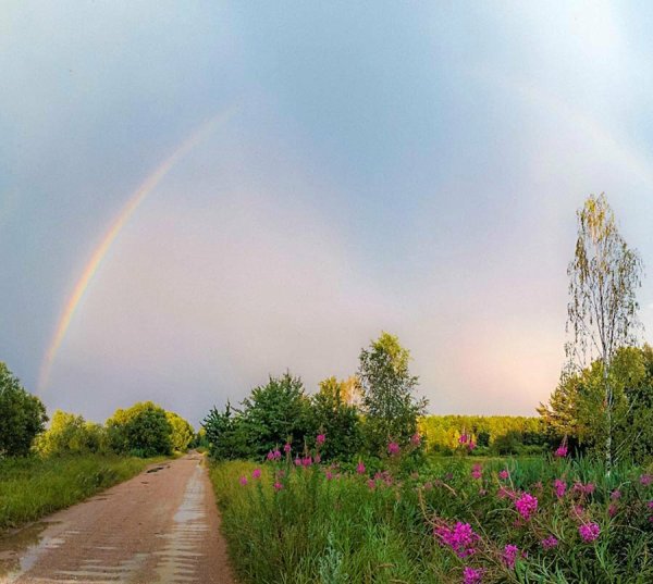 Радуга летом