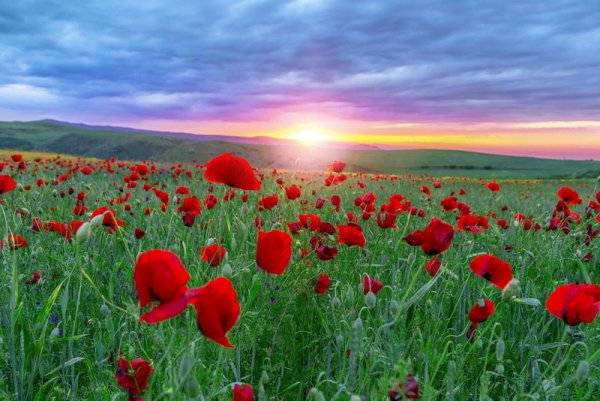 Самые красивые природа Азербайджана