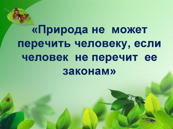 Природа бесценный дар проект