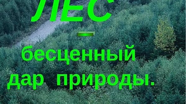 Природа бесценный дар рисунок