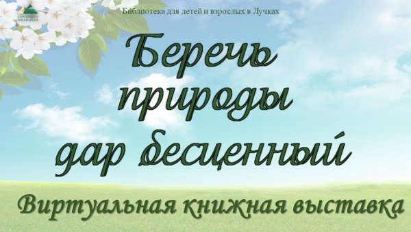 Лес бесценный дар