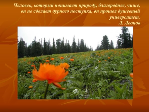 Природа бесценный дар