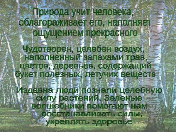 Лес бесценный дар природы