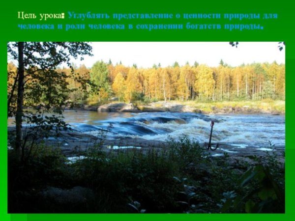 Конкурс экологических плакатов