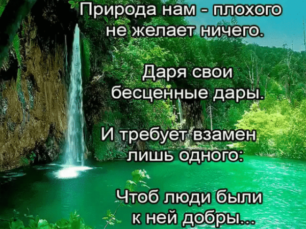 Здоровье это дар