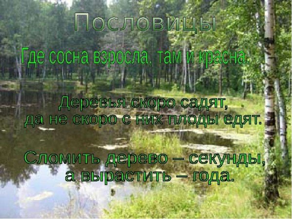 Презентация природа в доме 1 класс перспектива